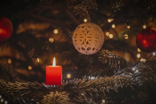 Snowy Pine Jar Candle #015