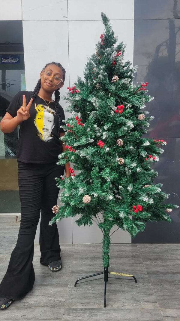 CONE-BEERY-6FT-CHRISTMAS-TREE