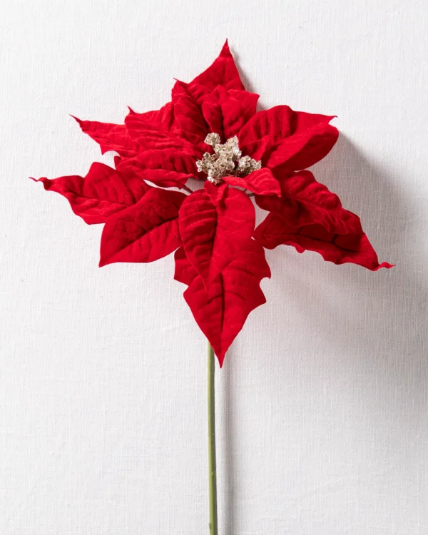FLORA PICK