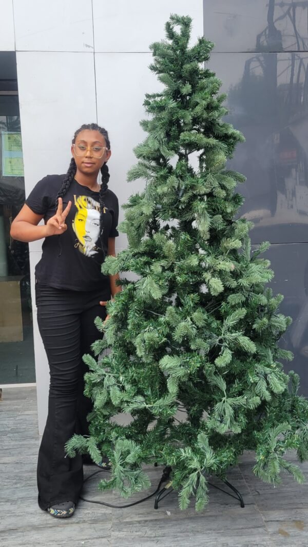 PRE-LIT LUXURY CHRISTMAS TREE