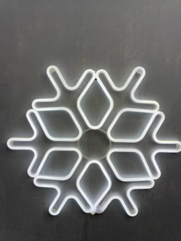 Big White Snow Flakes